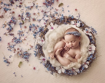 Dariela- Newborn Digital Backdrop- Basket- Wreath- Fresh Flowers- Prop - Background