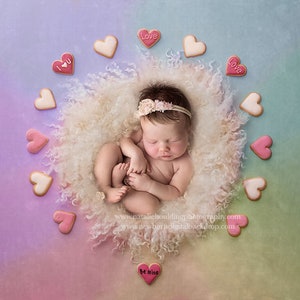 Digital Newborn Backdrop/ prop - Valentines day 3/ Heart / Rainbow - Photography