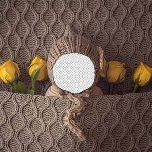 Yellow roses poppet-Newborn Digital Backdrop for photography Poppet Face insert image 2