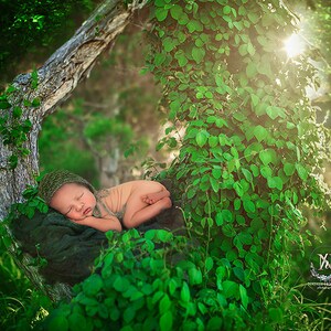 Digital Newborn Backdrops/ Props - Donnie- Photography