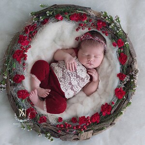 Christmas Newborn/ Toddler  Digital Backdrop/ prop (Adelina)- Photography