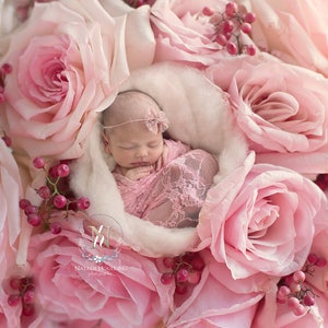 Just Roses- Newborn Digital Backdrop- Basket- Wreath- Fresh Flowers- Prop - Background
