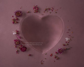 Newborn Digital Backdrops /  Prop / Digital Background / Newborn Composite/  Dried flowers / Heart 40Photography- Photography