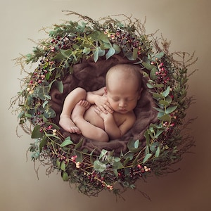 Digital Backdrop/ prop - Newborn Basket (Arian wreath)- Photography