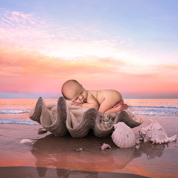 Newborn Digital Backdrop /  Prop / Basket on beach (After the sunset)Photography- Photography