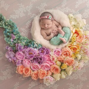Newborn Digital Backdrop/ Prop /  / Flowers basket (Rainbow day)Photography- Photography