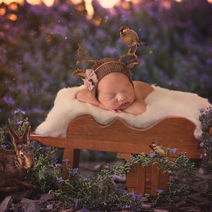 Pasgeboren digitale achtergrond/prop//Rozemarijn bloemen/tuinkar (Wioleta) fotografie-fotografie