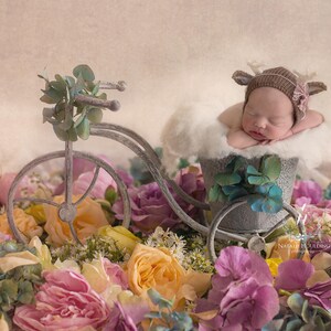 Newborn Digital Backdrop/ Prop / / Rainbow flowers  (Bicycle in the garden)Photography- Photography