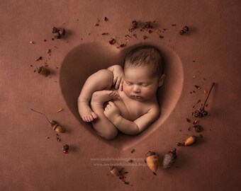 Newborn Digital Backdrops /  Prop / Digital Background / Newborn Composite/  Dried flowers/ Fall / Autumn / Heart 37Photography- Photography