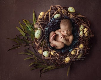 Könnte beinhalten: Ein neugeborenes Baby schläft friedlich in einem Nest aus Zweigen und Ästen, umgeben von gefleckten Eiern. Das Nest befindet sich auf einem braunen Hintergrund mit grünen Blättern.