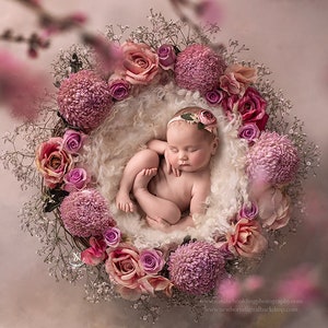 Queen of Roses- Newborn Digital Backdrop- Basket- Wreath- Fresh Flowers- Prop - Background