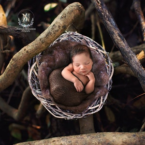 Digital Newborn Backdrop/ prop - (Iain)- Photography