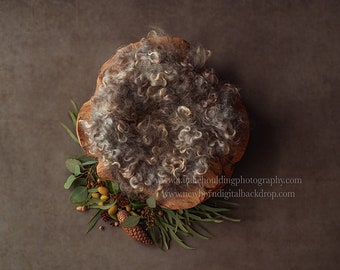 Pine / A little acorn- Newborn Digital Backdrop- Basket- Wreath- Prop - Background