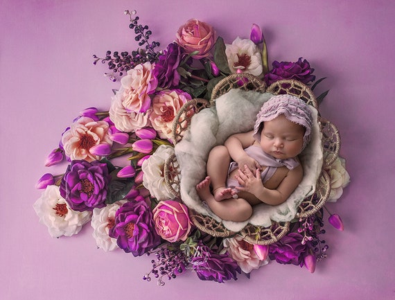 Wreath Prop Basket Velvet dreams peach Background Newborn Digital Backdrop