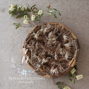 Digital Newborn Background - Woodland basket (Zachary)- Photography