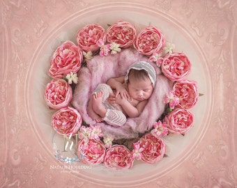 Vintage Blume im runden Rahmen Mohnblumen- Newborn Digital Backdrop- Korb- Kranz- Prop - Hintergrund