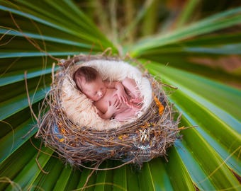 Newborn Digital Backdrop - Newborn nest (Xavier)- Photography