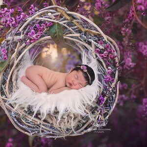 Newborn Digital Backdrop /  Prop / Basket/ Fresh flowers (Enchanted Forest) PinkPhotography- Photography
