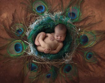 Digital Backdrop/ prop - Newborn basket (Peacock love)- Photography
