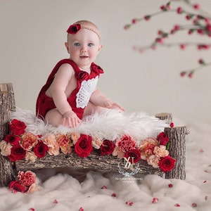 Christmas Newborn/ Toddler  Digital Backdrop/ prop- Photography