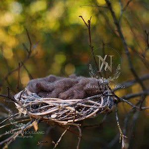 Digital Newborn Backdrop/ prop - (James)- Photography