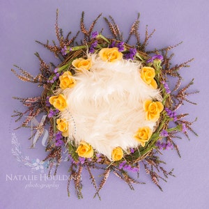 5 x Digital Newborn floral baskets Backdrops - The floral Collection- Photography