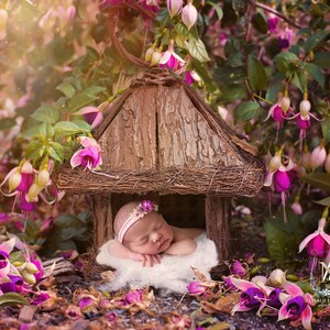Outdoor with real flowers Cubby house- Newborn Digital Backdrop- Basket- Wreath- Prop - Background