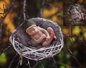 May include: A newborn baby wearing a green knitted hat sleeps peacefully in a white wicker nest. The nest is placed on a branch with a blurred background of fall foliage.