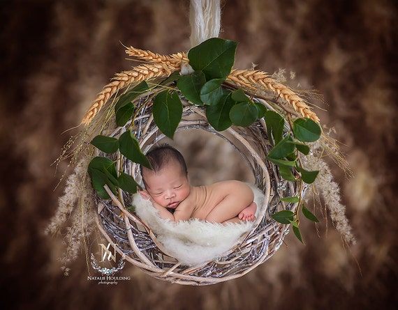 Digital Newborn Background Swing/ Hanging Basket (michael