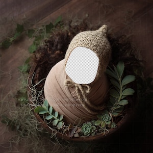 May include: A brown fabric swaddled baby doll with a brown knitted hat, nestled in a wooden bowl with green succulents and moss.