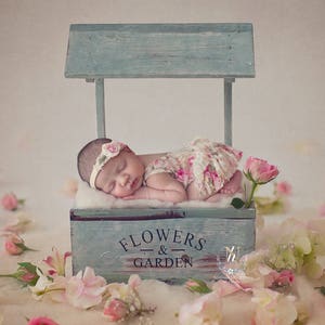 Neugeborenen Digitaler Hintergrund / Prop / / Blumenwagen (Edith) Fotografie- Fotografie- Neugeborenen Bett