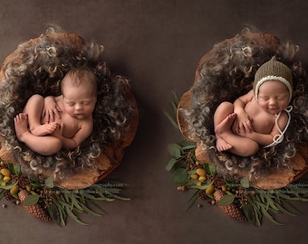 Twins wreaths Pine / Rustic twins backdrop / felt / Autumn Harmony- Newborn Digital Backdrop- Basket- Wreath- Prop - Background