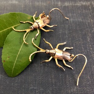 Pendientes de escarabajo longicornio pintados a mano: Joyería de insectos en latón dorado