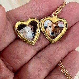 Matt Gold Pet heart locket with paw prints, photo options available image 3