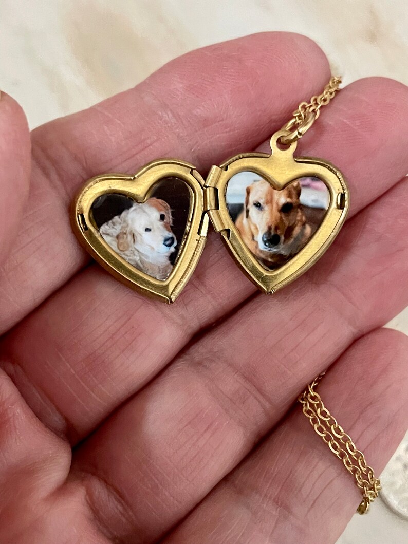 Matt Gold Pet heart locket with paw prints, photo options available image 3