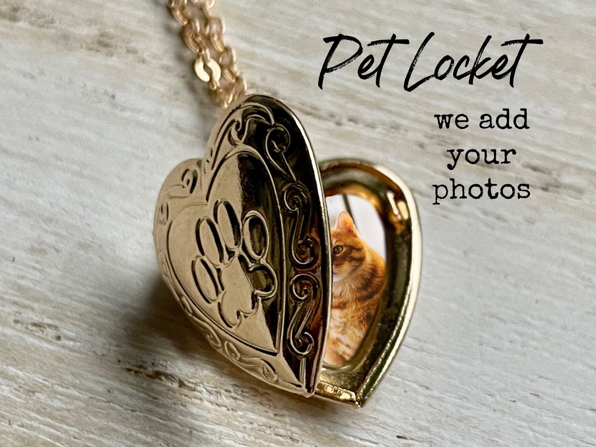 Pet top locket necklace
