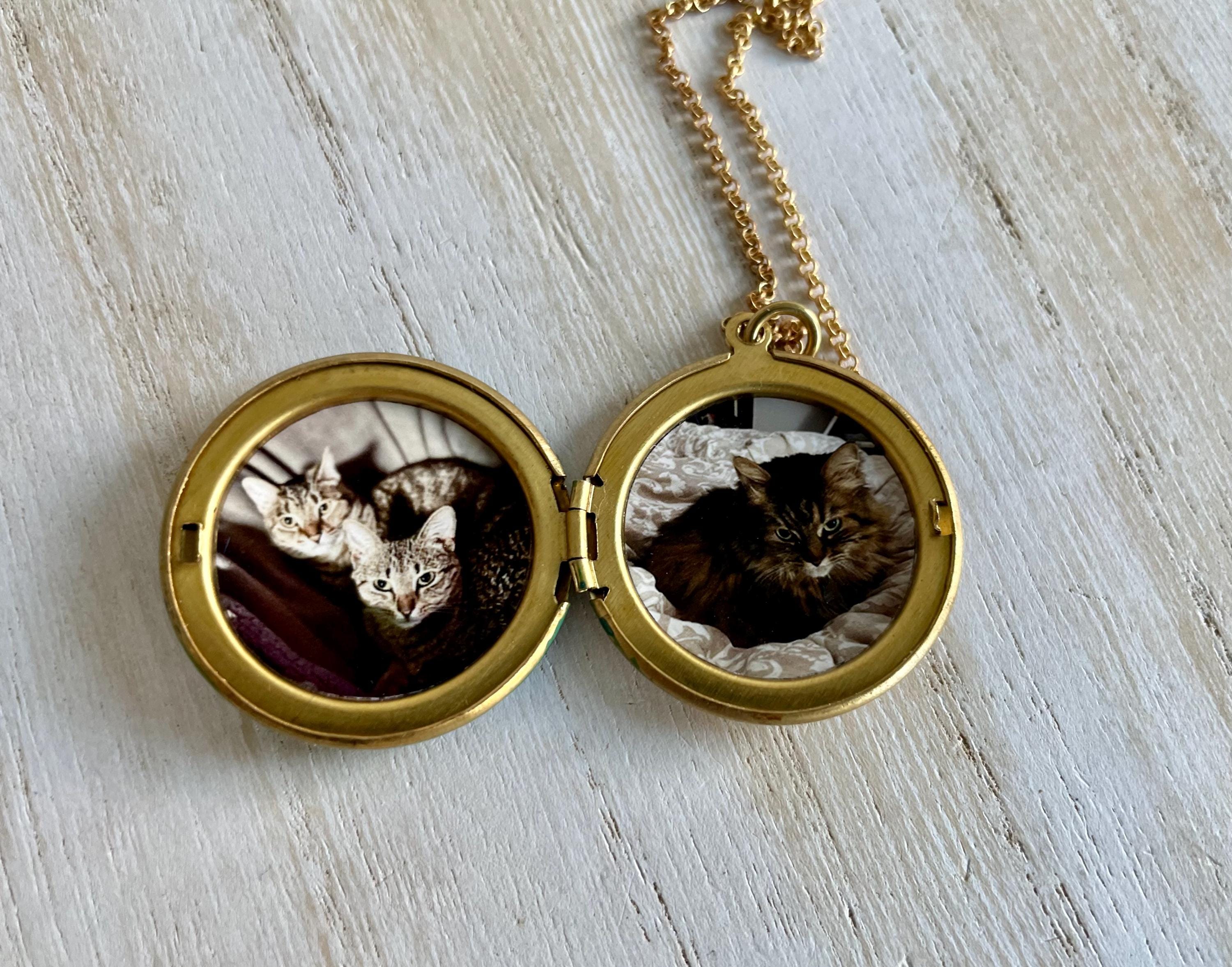 Cat Photo Locket Necklace – Green Blue Round Locket – Cat Lover Gift ...