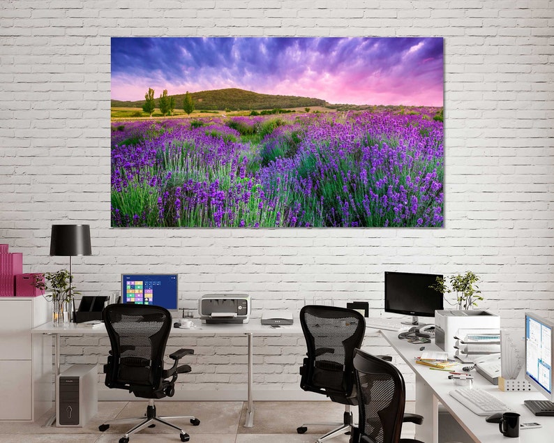 Flowers Field Fashion Gifts Art Colorful Landscape Provence Painting Art Wall France Very Beautiful Lavender Field Picture Art on Canvas