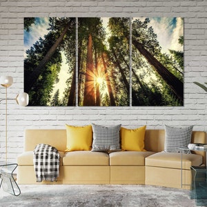 Wald bei Sonnenlicht Leinwand Wanddekor, grüner Wald Malerei Dekor Haus, nebliger Wald Kunstwerk für Wand, Kiefern Bäume Sonnenaufgang, Waldmalerei