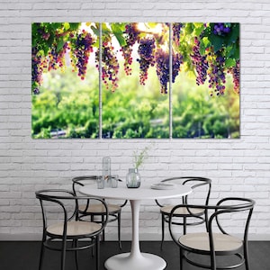 Grapes Stylish Decor for Dining Room, Grapes Leaves in Sunlight Printing art Canvas, Grapes Pictures Art Decor, Grapes with Green Leaves Art