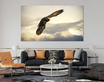 Hawk Print Canvas Sets, Hawk Painting Decor Art, Hawk Contemporary Wall Decor, Bird of Prey Painting Artwork, Hawk Pictures Print Canvas