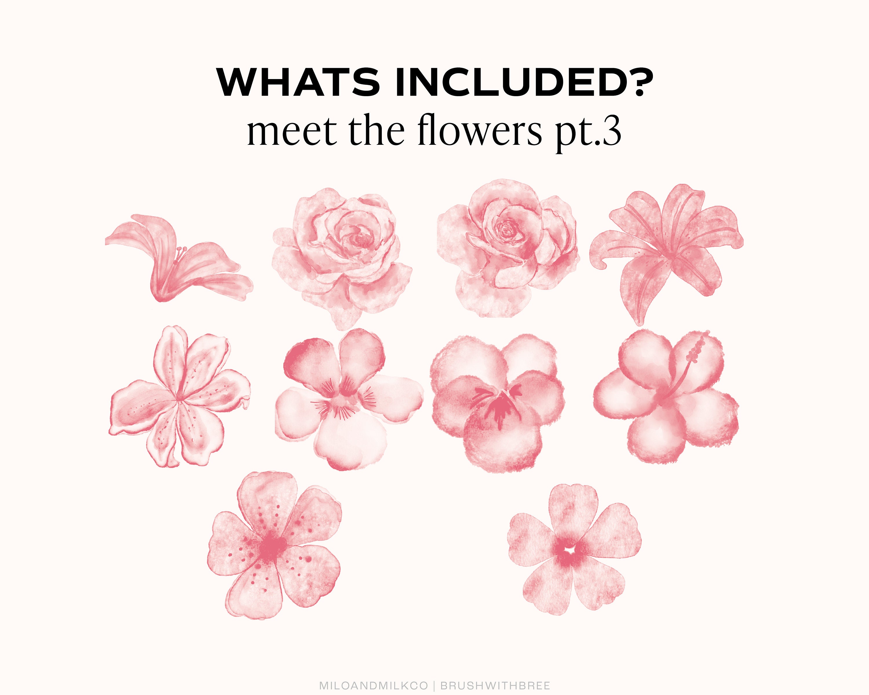 Watercolour Flower Stamp Brushes for Procreate. Floral Brushes Made for ...