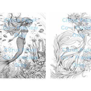 Mermaid Dreams Set 2
