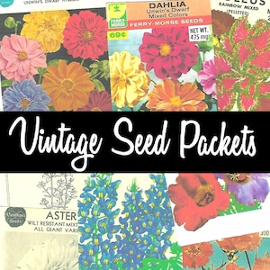 Vintage Seed Packets - 8 Journaling Cards Digital Download - Junk Journal Printables