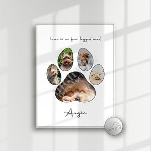 Personalized Pet Paw Print Photo Collage Digital Download