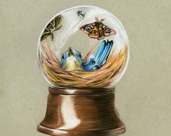 Original Art Print - Nest Globe - Snow Globe Series - Pastel Drawing - Nest and Bluebird- Surrealism