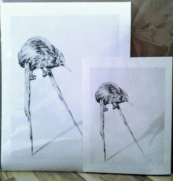 Reproduction Dart Kiwi Sur Pilotis Oeuvre Fantaisiste Oiseau Sur Pilotis Kiwi Dessins