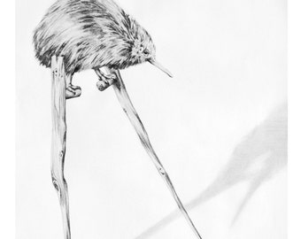 Original Art Print - Kiwi on Stilts - Whimsical Artwork - Bird on Stilts - Kiwi Drawing