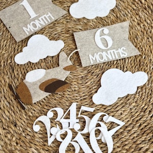 Felt Airplane Baby Milestone Photo Prop with Banner