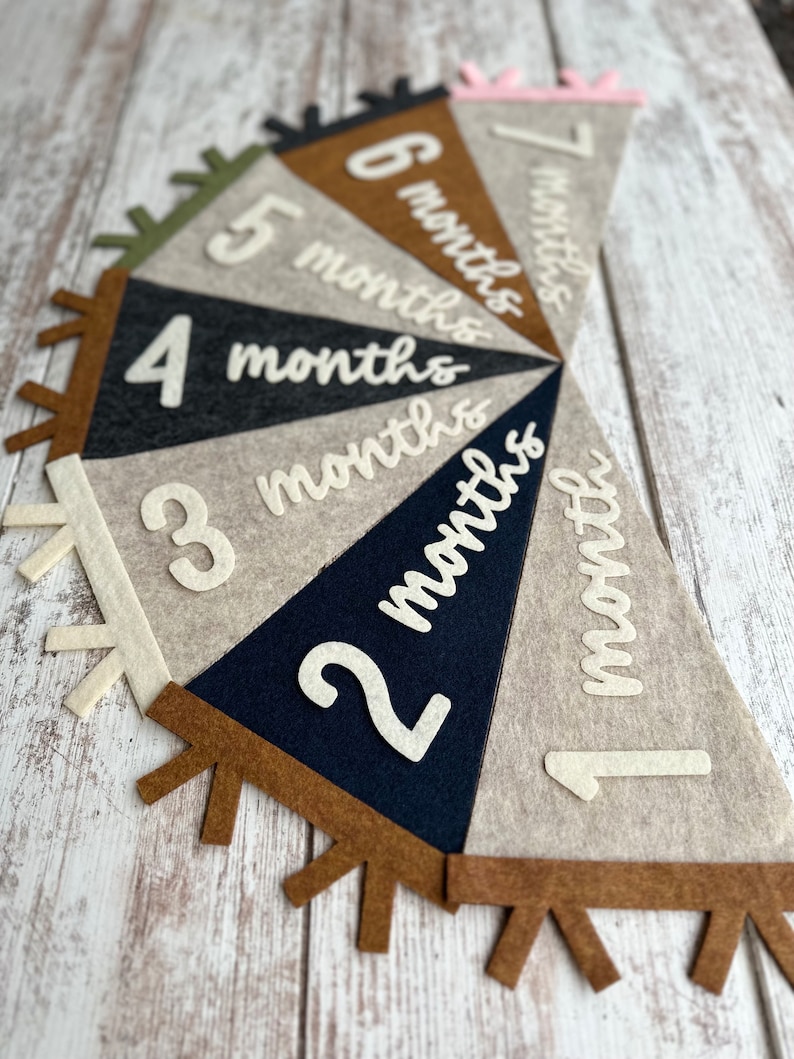Baby milestones pennant for baby photos, newborn photo prop first year, neutral flag room decor, interchangeable monthly sign baby shower image 9